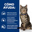 12 kg Hill's Prescription Diet Metabolic pienso para gatos, , large indicador imagen numero 4