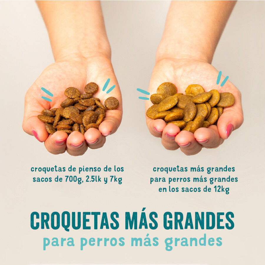 Edgard &amp; Cooper Remolacha y Calabaza pienso para perros thumbnail