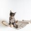 Muro Escalada Para Gatos - Hamaca de Luxe XXL (Beige), , large indicador imagen numero 2