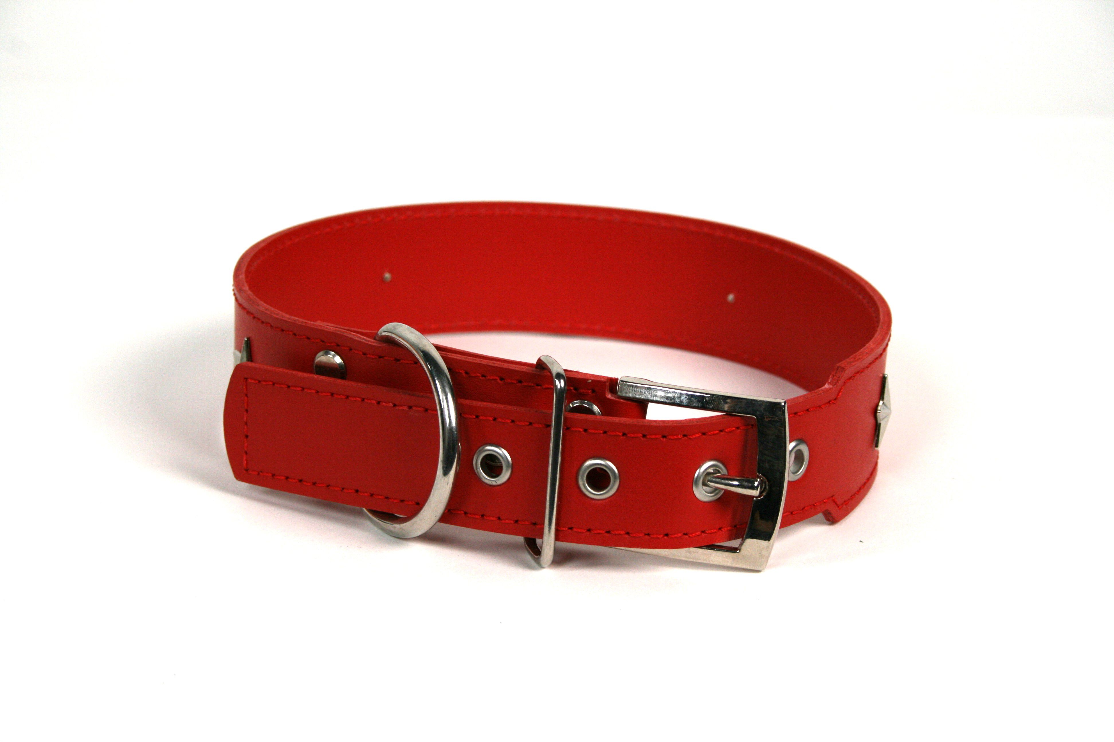 COLLAR DE PIEL ROJO CON  ESTRELLA, , large Imagen numero 2