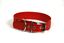 COLLAR DE PIEL ROJO CON  ESTRELLA, , large indicador imagen numero 2