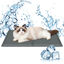 Nobleza Alfombra Refrescante para Gatos &ndash; Gel Auto-refrigerante No T&oacute;xico, Activado por Presi&oacute;n, 40x50 cm, Gris, , large indicador imagen numero 1