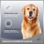 MD-10 Champú Hidratante y Dermoprotector para Golden Retriever, , large indicador imagen numero 2