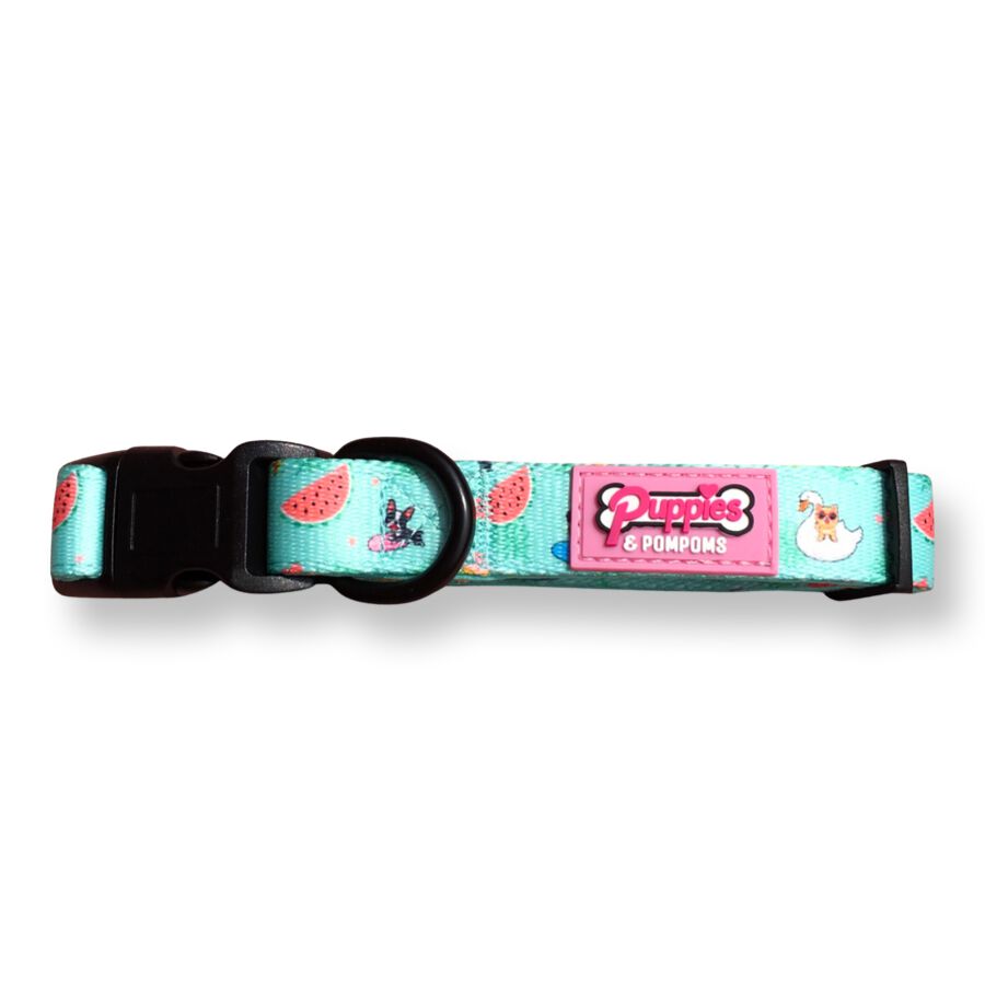 Puppies Pom Poms Collar Fiesta de Verano para perros