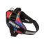 Julius K9 Arnés Psycho Canis multicolor para perros, , large indicador imagen numero 1