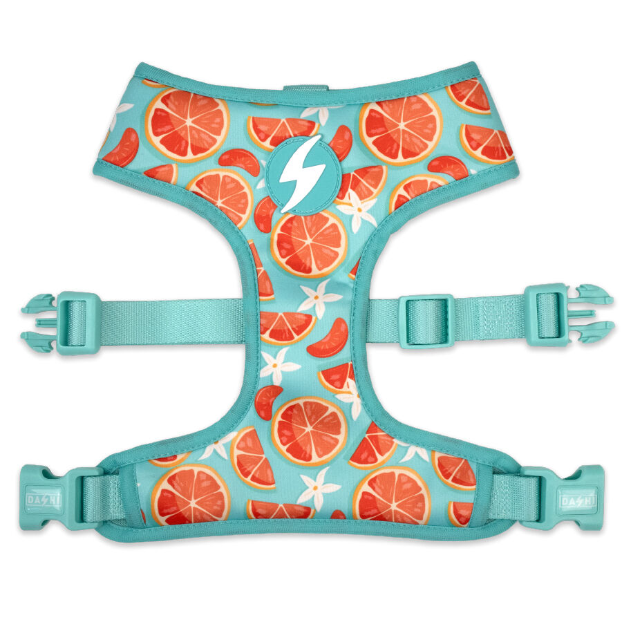 Arn&eacute;s Neo Mesh Eco Caribe, , large Imagen numero 1