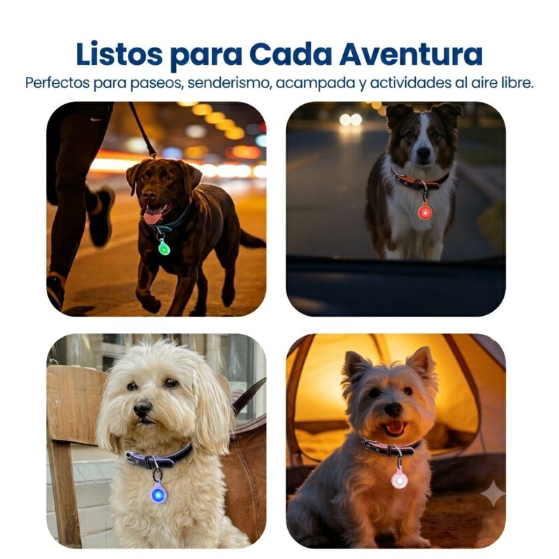 PawView Luz LED de Seguridad para Perros y Gatos con C&oacute;digo QR, Identificaci&oacute;n Digital, USB-C Recargable y 3 Modos de Luz, , large Imagen numero 3