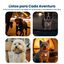 PawView Luz LED de Seguridad para Perros y Gatos con C&oacute;digo QR, Identificaci&oacute;n Digital, USB-C Recargable y 3 Modos de Luz, , large indicador imagen numero 3