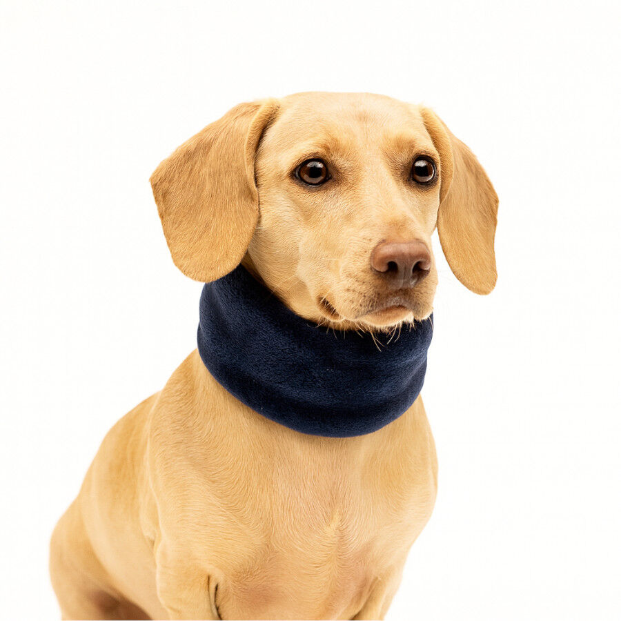 Outech Bufanda Azul para perros, , large Imagen numero 3