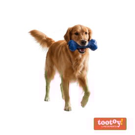 Tootoy! Hueso Portagolosinas de Goma Azul para perros