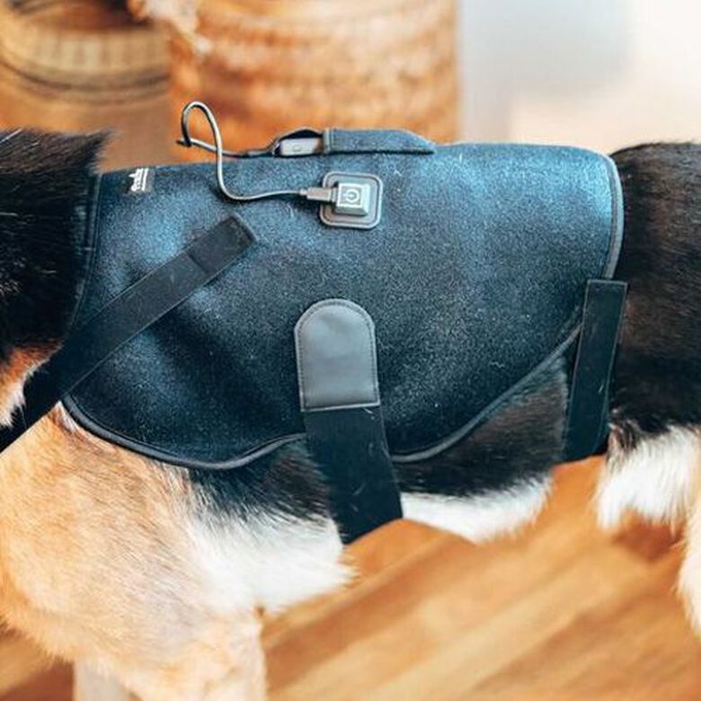 Petietec Soporte de espalda para terapia térmica para perros thumbnail