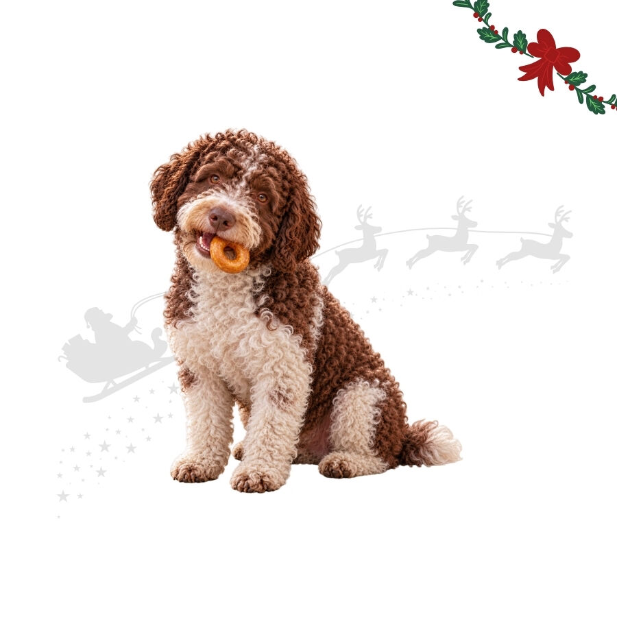 1 ud. Wonder Christmas Donut Snacks para perros, , large Imagen numero 1