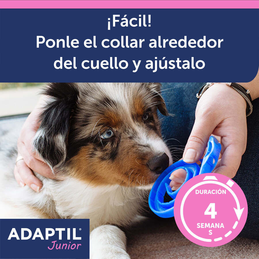 Adaptil Junior Collar Anti-estrés para perros thumbnail