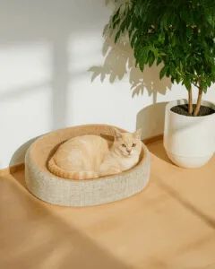 Althea Living - Rascador de sisal para gatos Isla. 2 en 1: cama y rascador, , large Imagen numero 4