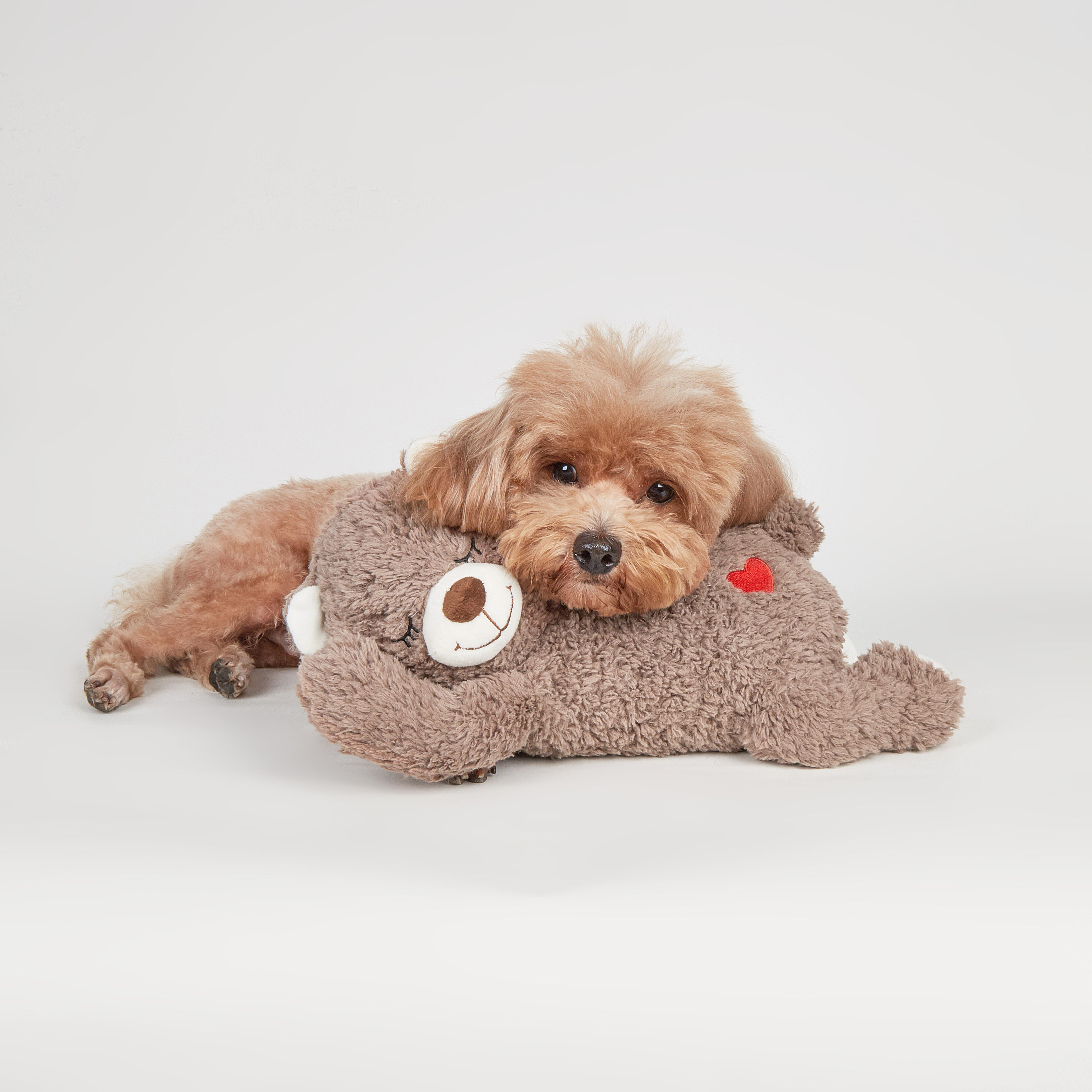 Peluche con Latido para Perros y Gatos, , large Imagen numero 4