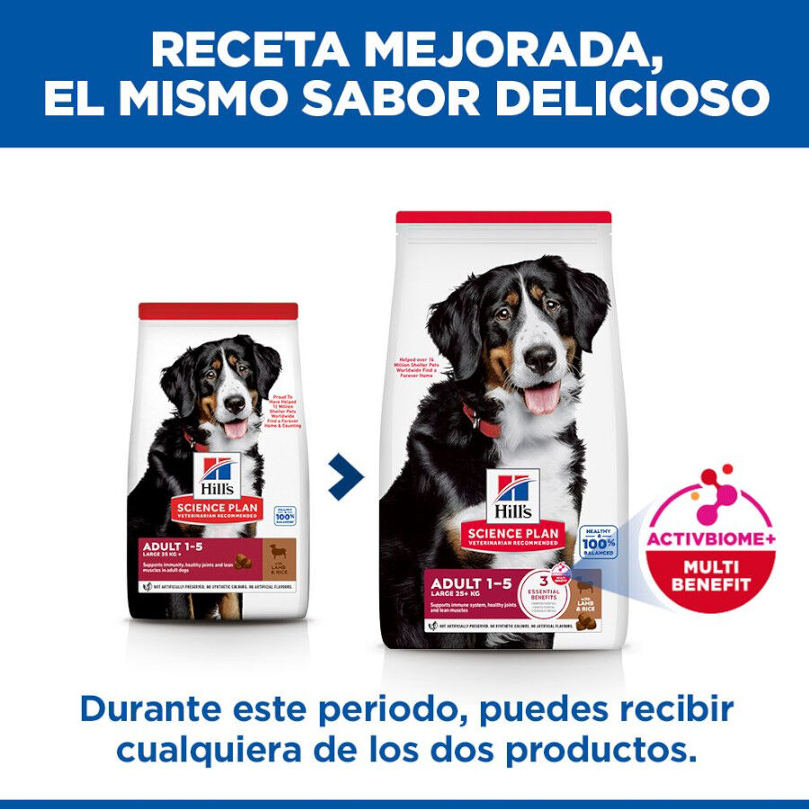 2 x 14 kg Hill's Science Plan Adult Large Cordero pienso para perros &iexcl;Pack ahorro!, , large Imagen numero 3