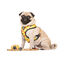 Dukier Sweets correa para perros, , large indicador imagen numero 2
