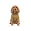 Gotoo Chaqueta Impermeable con Arn&eacute;s para perros, , large indicador imagen numero 7