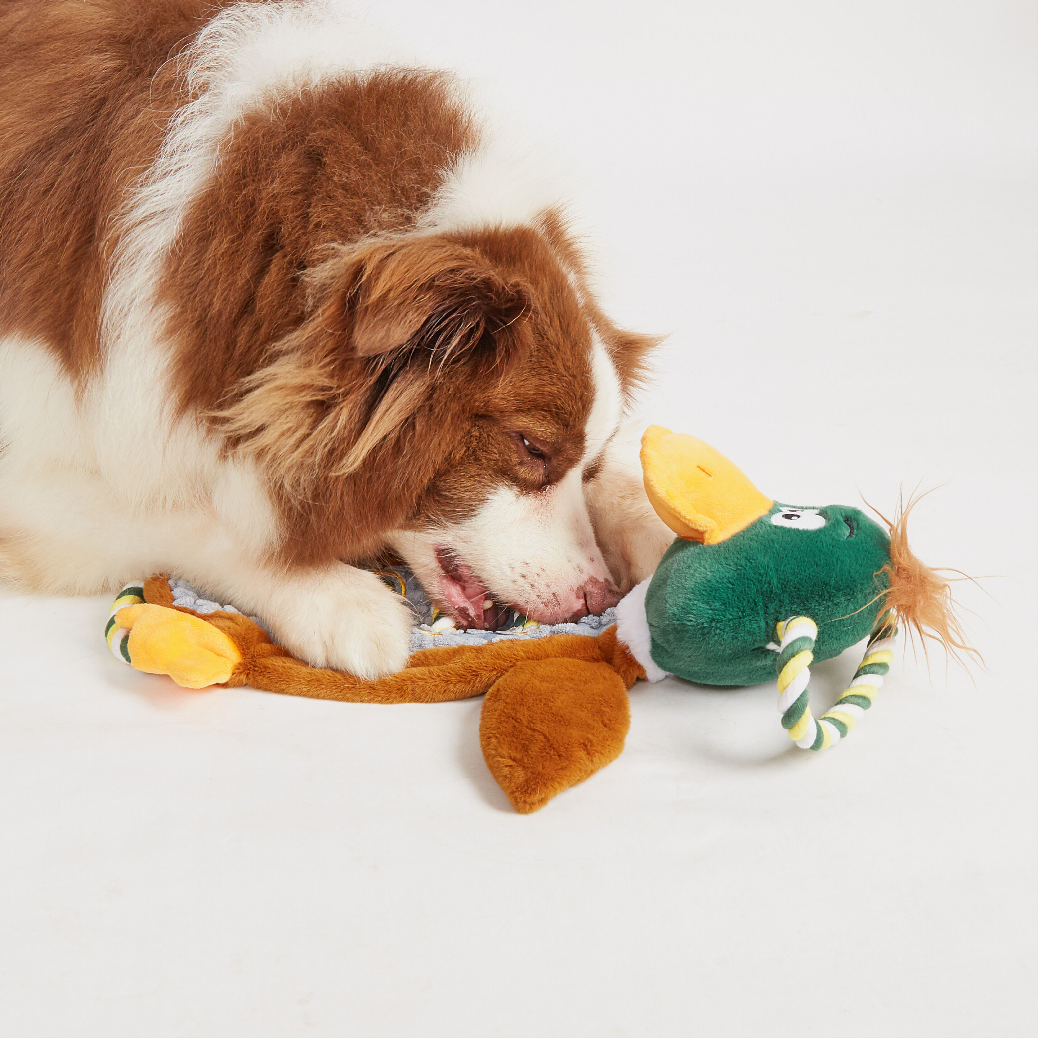 Juguete para Perro Pato con Cuerda, , large Imagen numero 3