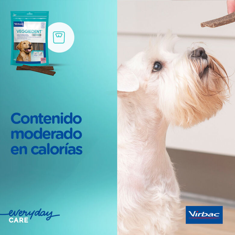 Virbac Snacks Dentales VeggieDent Fresh para perros Toy thumbnail