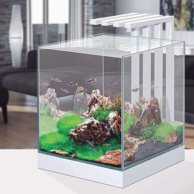Acuario Nexus Pure Cube 25 - Set Completo 22 litros con LED, Filtro Interior y Consumibles, , large Imagen numero 2