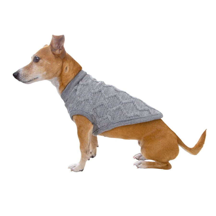 Outech Rombos Jersey de Punto Gris para perros, , large Imagen numero 1
