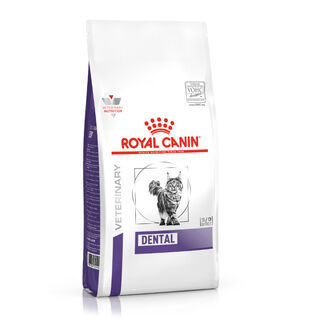 Royal Canin Veterinary Dental pienso para gatos
