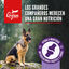 Orijen Large Breed Adult Pienso para perros, , large indicador imagen numero 2