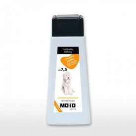 MD-10 Champú Hidratante vegano para perro de Agua Español Blanco