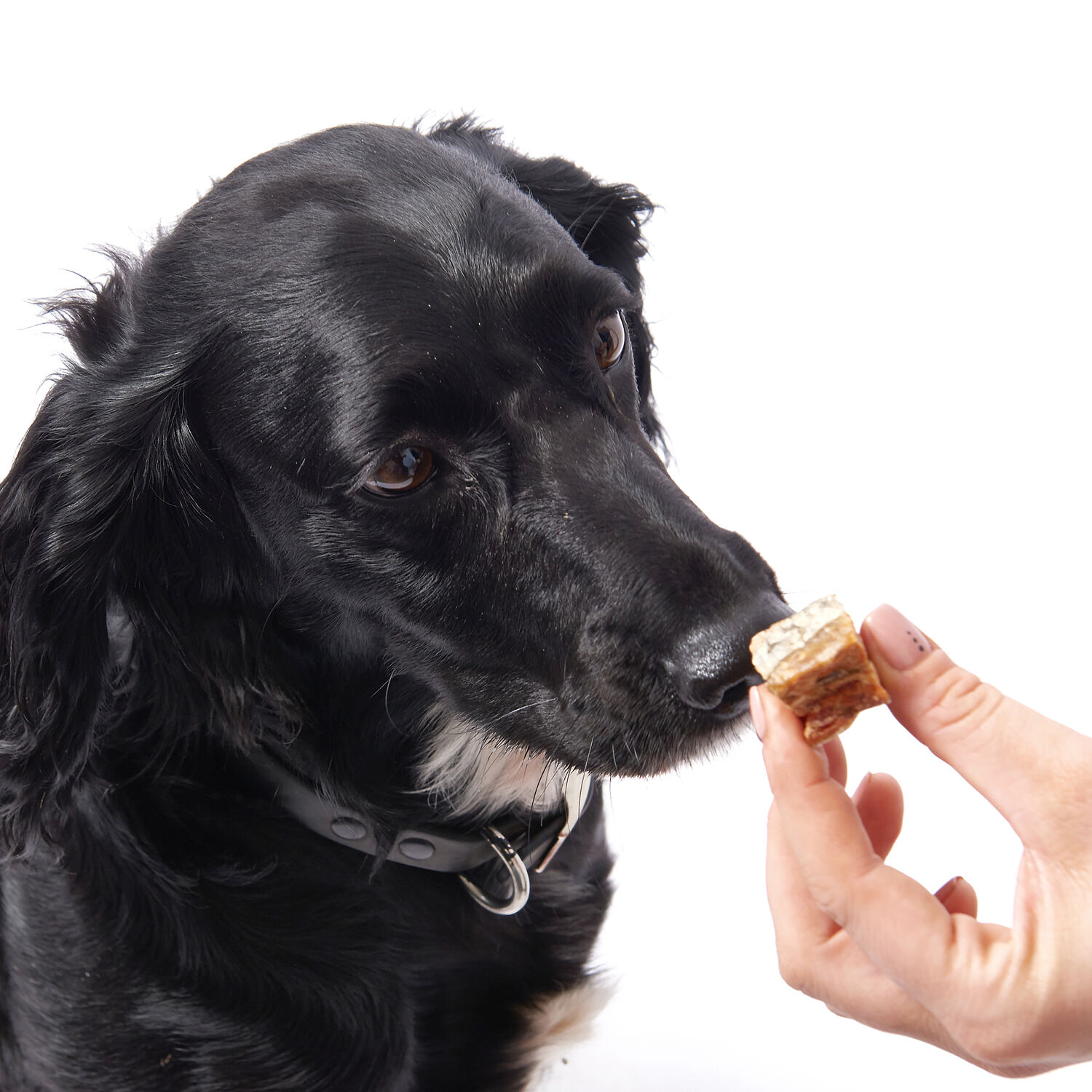 Fish4Dogs Snack Love Salmón Cubos para perros thumbnail