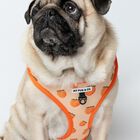 My Pug & Co. Arnés Life's a Peach Naranja para perros, , large image number null