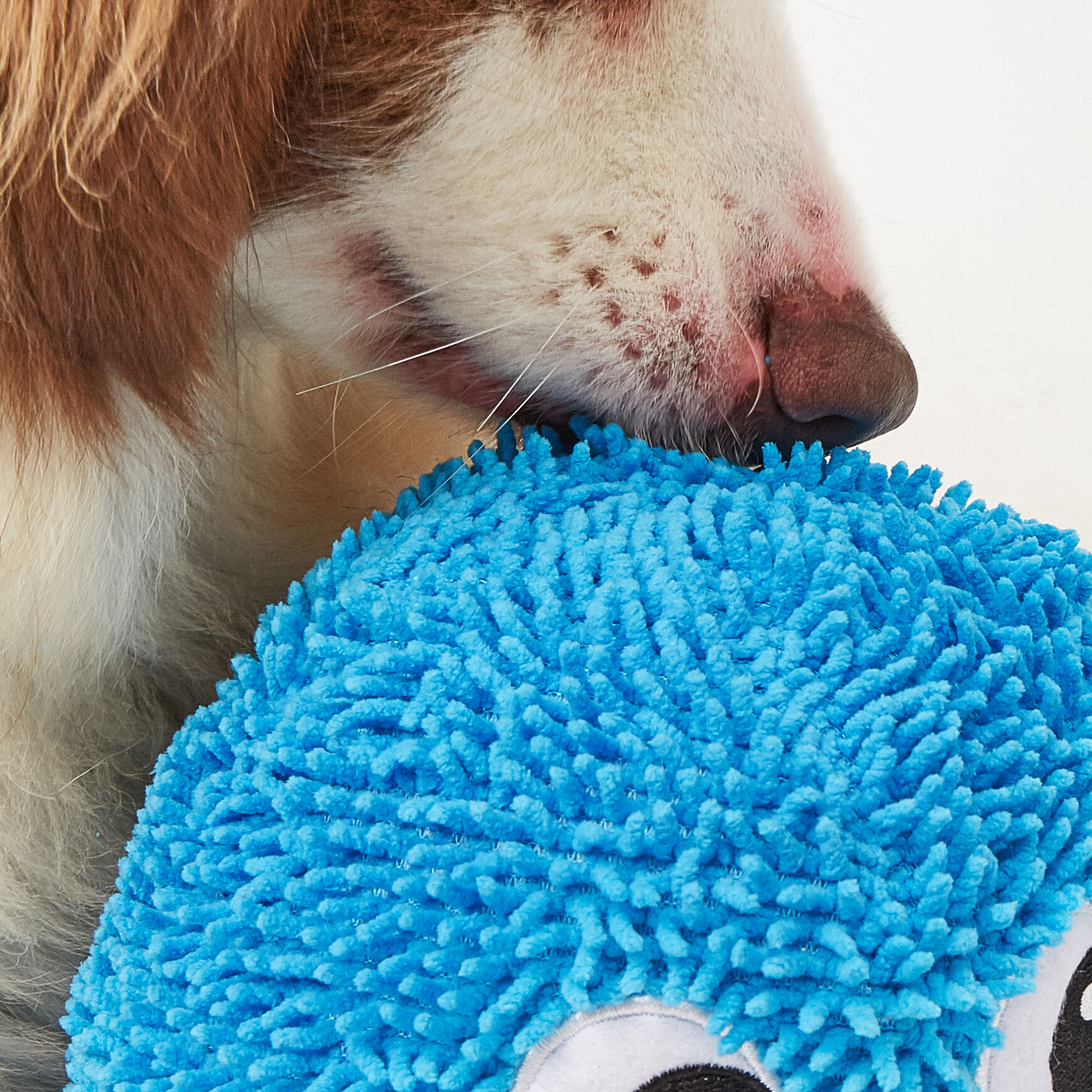 FOFOS | Peluche Pulpo Resistente y Suave con Sonido - Para Perro, , large Imagen numero 3