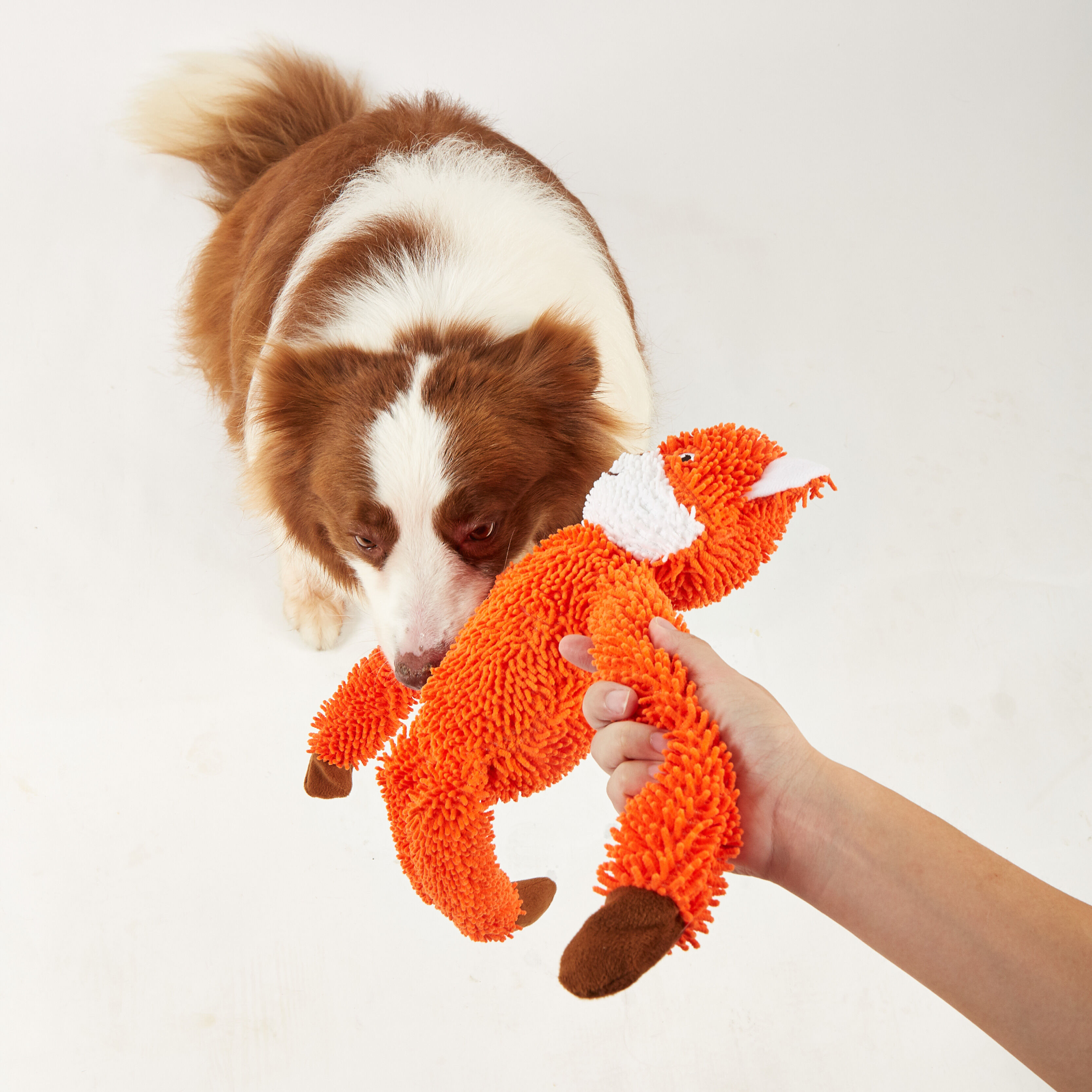 Juguete Resistente para Perro &ndash; Zorro de Cuerpo Largo, , large Imagen numero 2