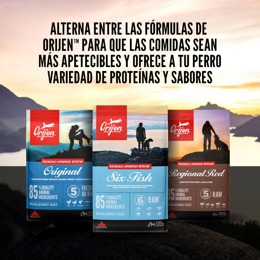 Orijen Large Breed Adult Pienso para perros thumbnail