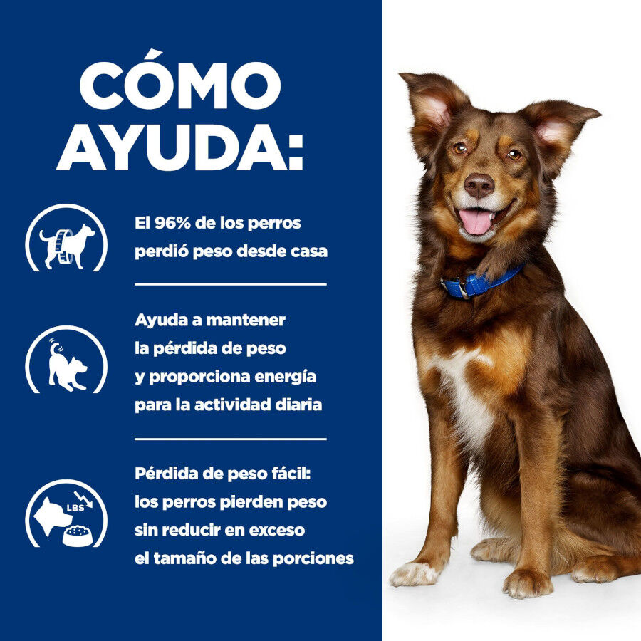 370 g Hill's Prescription Diet Metabolic Vacuno y Verduras lata para perros, , large Imagen numero 4