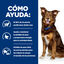 370 g Hill's Prescription Diet Metabolic Vacuno y Verduras lata para perros, , large indicador imagen numero 4