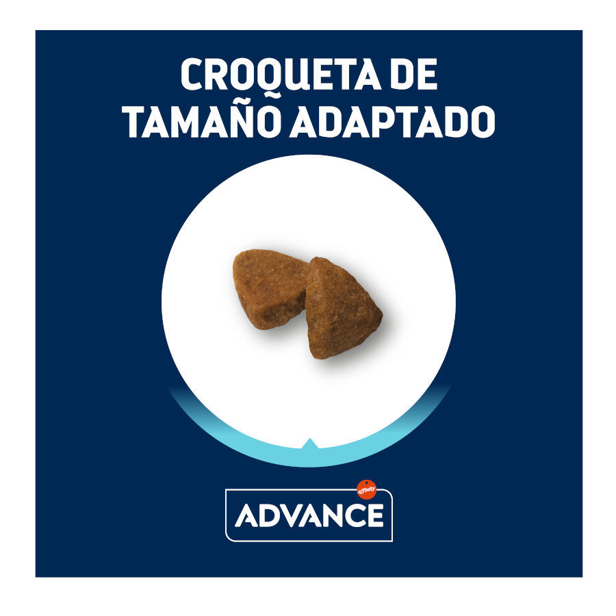 Advance Active Defense Mini Adult Pollo y Arroz pienso para perros thumbnail