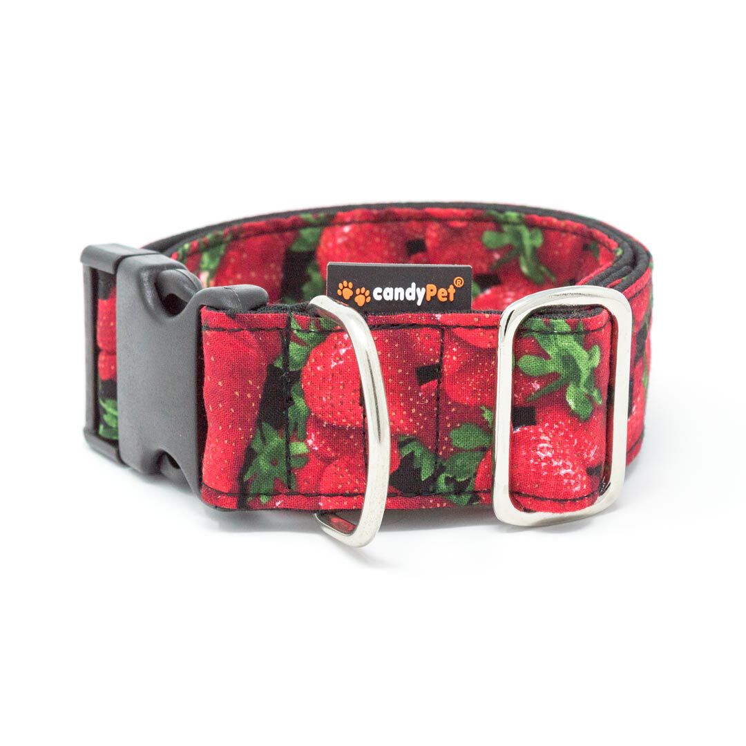 candyPet&reg; Collar Click para Perros - Modelo Fresas, , large Imagen numero 1