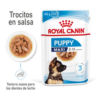 Royal Canin Húmedo Maxi Puppy