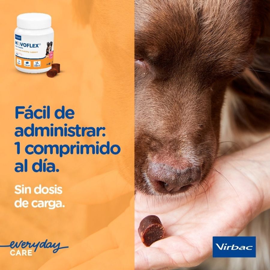 Virbac Movoflex Condroprotector para perros, , large Imagen numero 8
