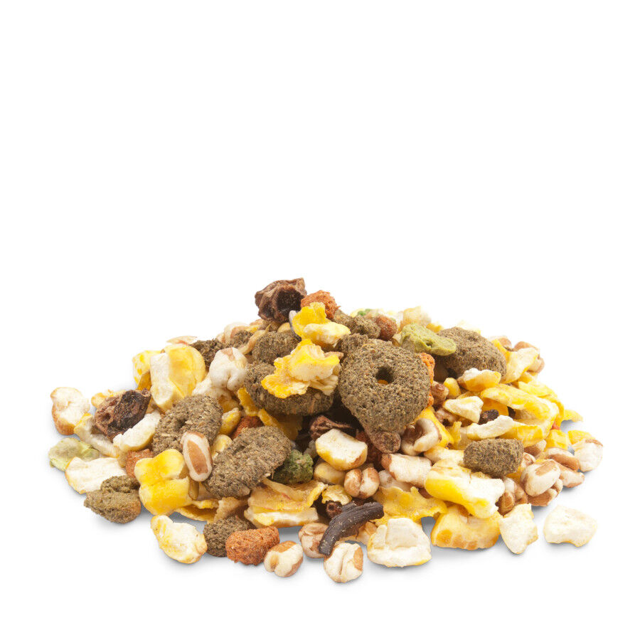 Versele-Laga Crispy Snack Palomitas para roedores thumbnail