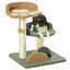 PawHut Árbol Rascador para Gatos Pequeño de 52 cm Torre para Gatos Centro de Actividades para Gatitos con Cama Poste de Sisal y Bola Colgante 43x39x52 cm Multicolor, , large indicador imagen numero 1