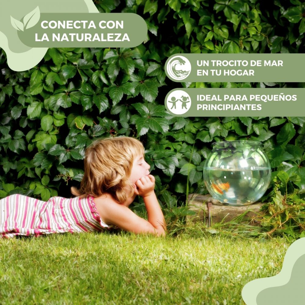 Mobiclinic Pecera transparente PET ecológico para Peces pequeños thumbnail