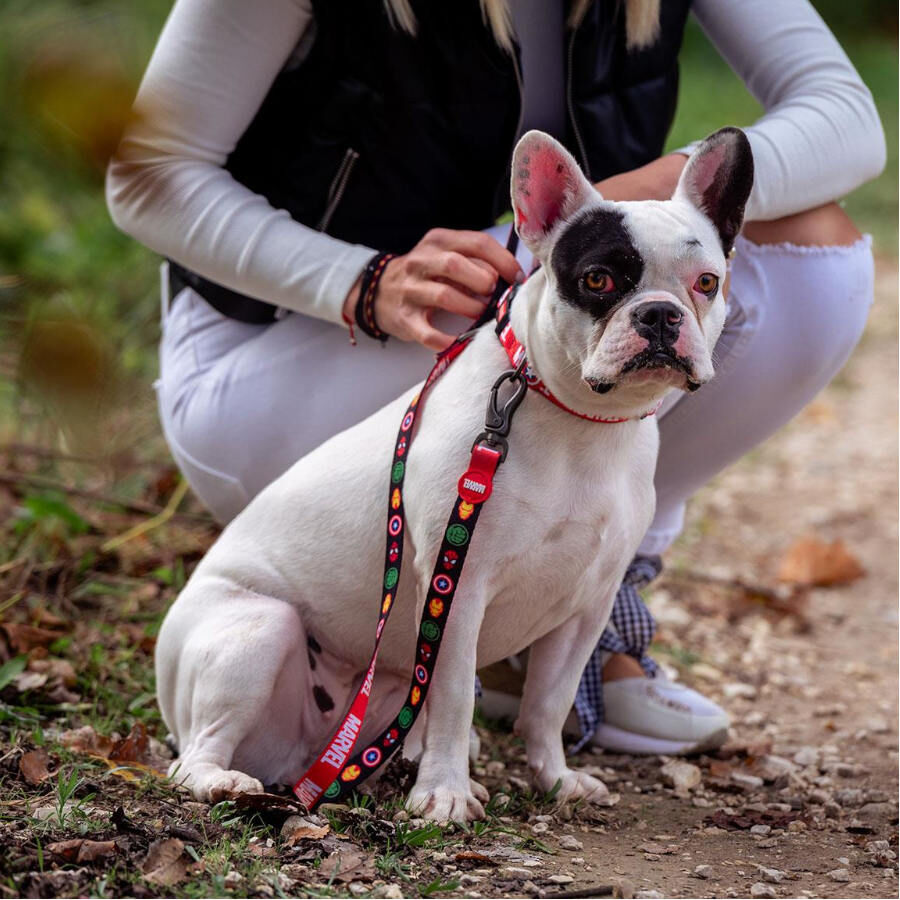 Disney Premium Marvel correa para perros, , large Imagen numero 4