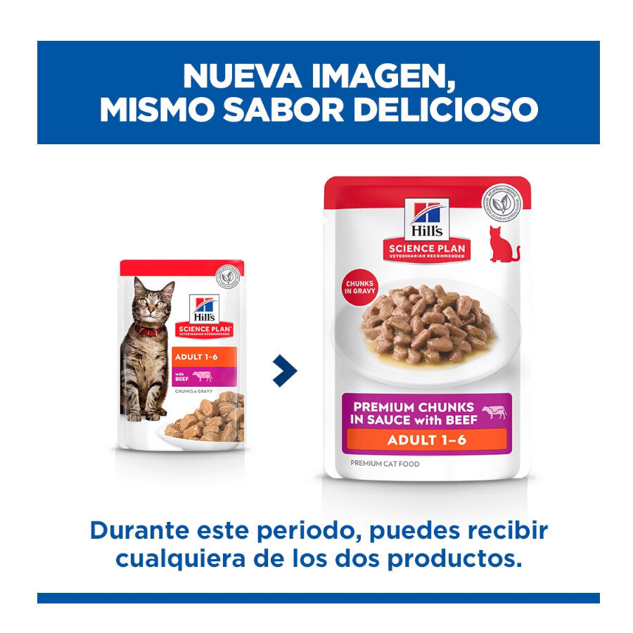 85 g Hill's Science Plan Adult Ternera Sobre en Salsa para gatos, , large Imagen numero 2