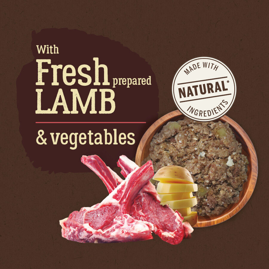 400 g True Origins Adulto Pure Cordero lata para Perro, , large Imagen numero 3