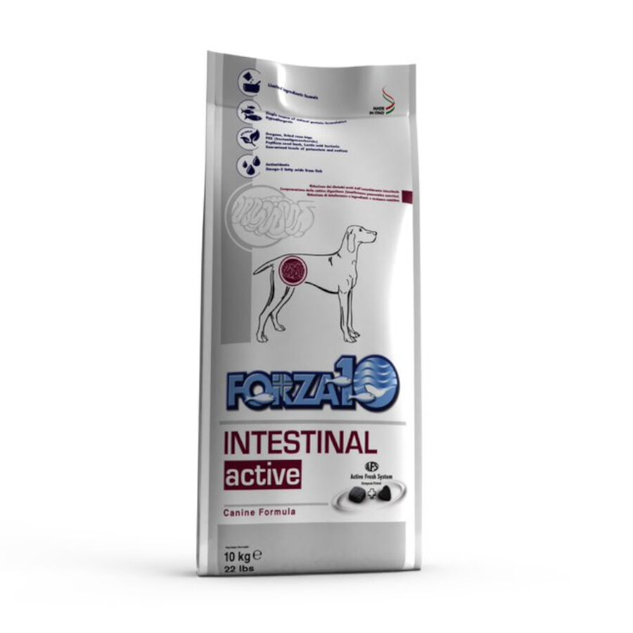 10 kg Forza 10 Active Line Intestinal pienso para perros, , large Imagen numero 1