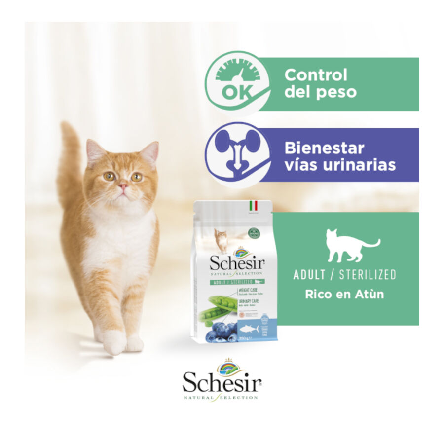 1.4 kg Schesir Natural Selection Sterilized At&uacute;n pienso para gatos, , large Imagen numero 6