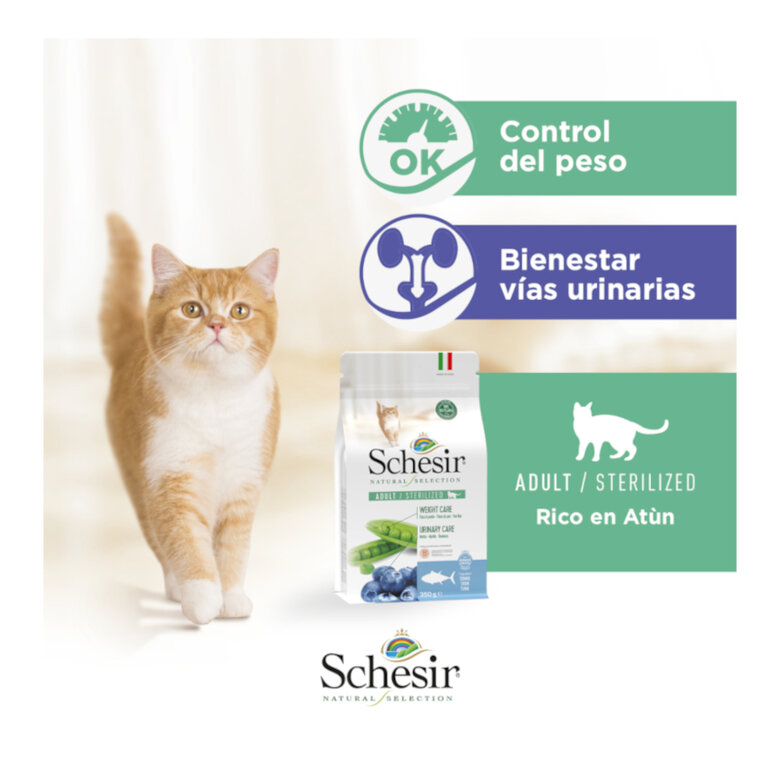 Schesir Natural Selection Sterilized Atún pienso para gatos, , large image number null
