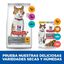 85 g Hill's Science Plan Sterilized Young Adult Salmón sobre para gatos, , large indicador imagen numero 5